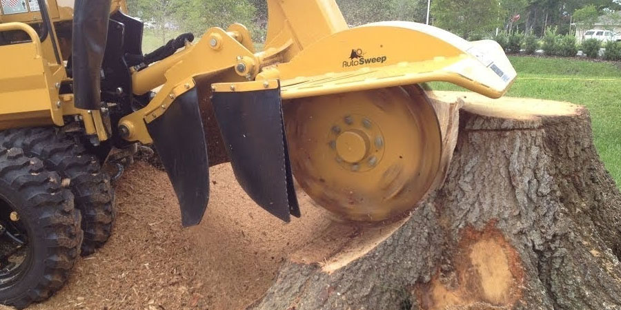 tree stump removal