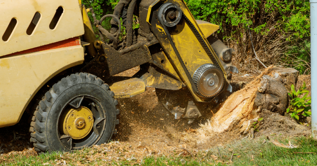 stump grinding