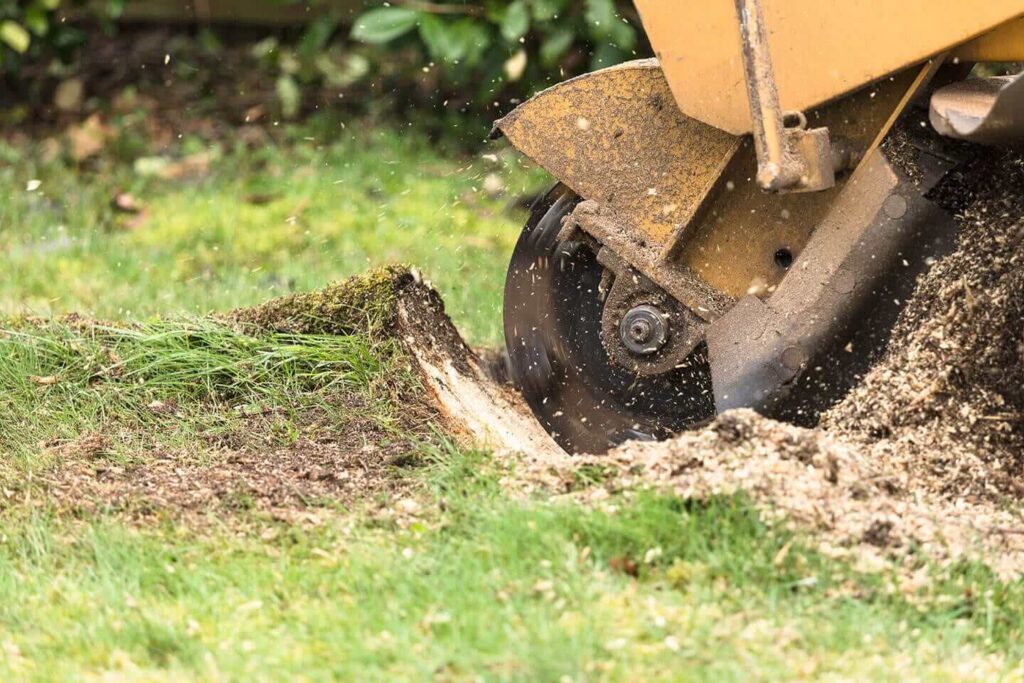 Stump Grinding Prices