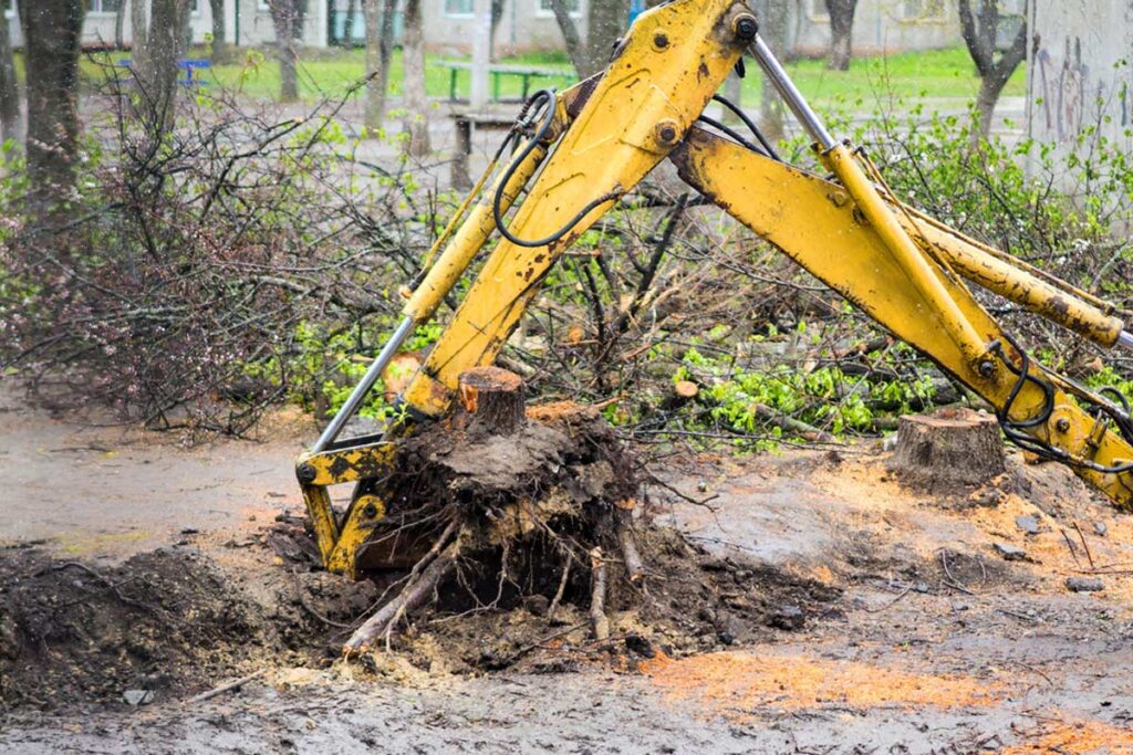 Stump Grinding Prices