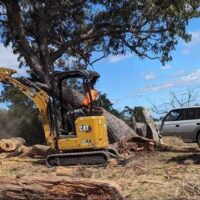 Emergency Tree Removal Willoughby: What to Do After Storm Damage or Fallen Trees