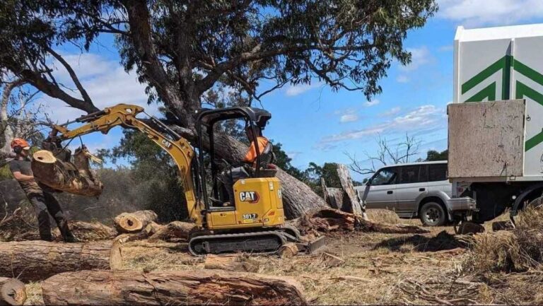 Emergency Tree Removal Willoughby